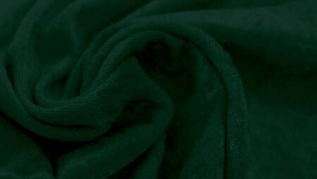 Velours de Panne groen