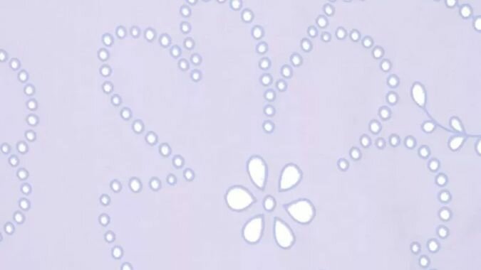 paarse voile embroiderie