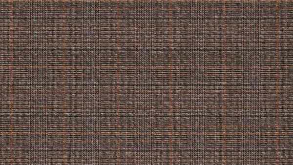 Bruine Scottish check