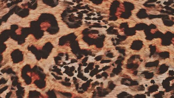 Panterprint stof voor damesmode