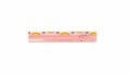 Rokrits roze 12 tot 22 cm